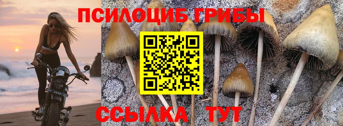 Галлюциногенные грибы MAGIC MUSHROOMS Лысьва